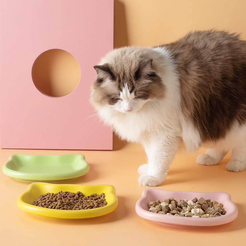 Cute Cat Shape Pet Snack Plate - огляд і ціна Food Snacks Options