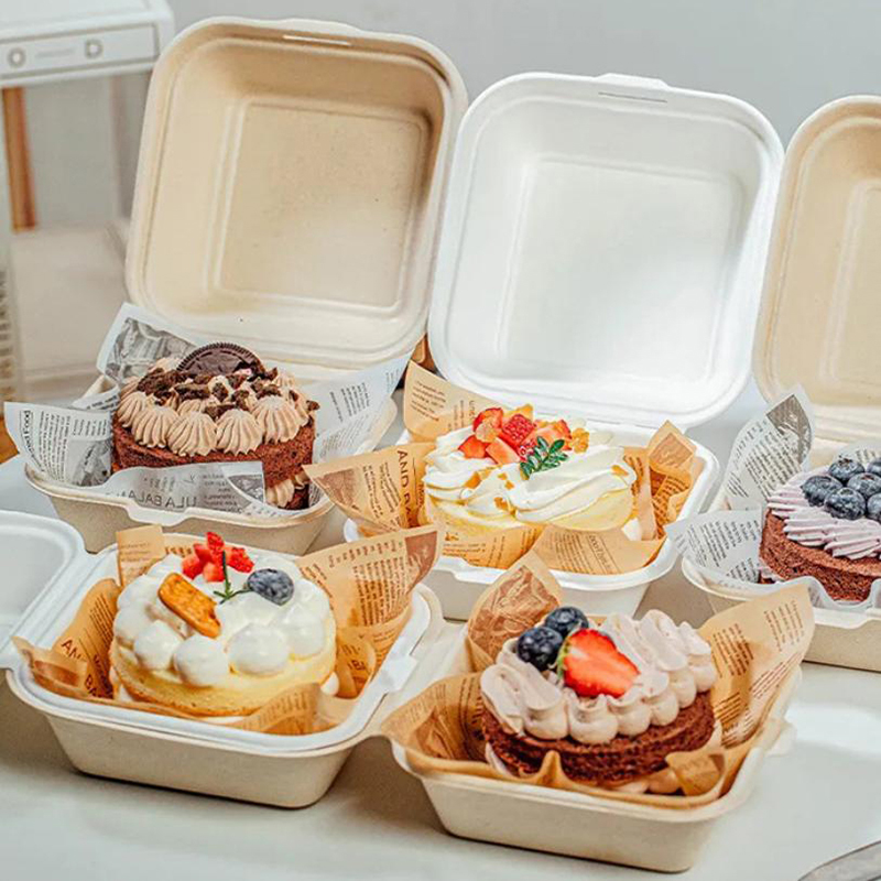 【Nice】10pcs Disposable Bento F - огляд і ціна Nice Food Snacks